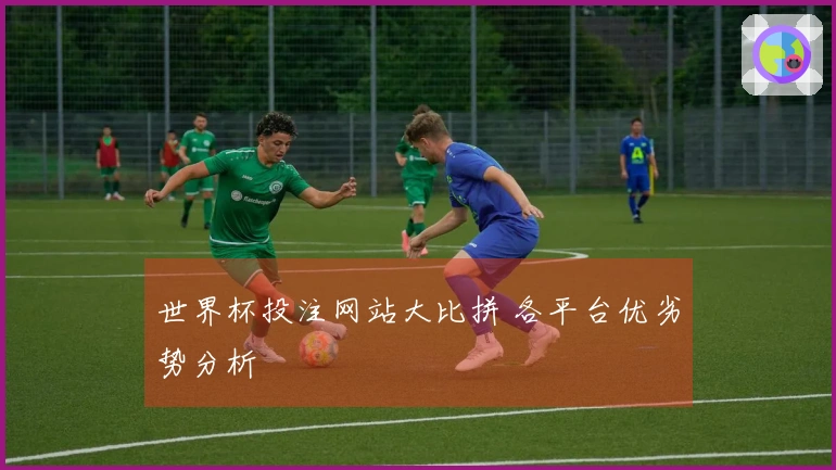 世界杯投注网站大比拼 各平台优劣势分析