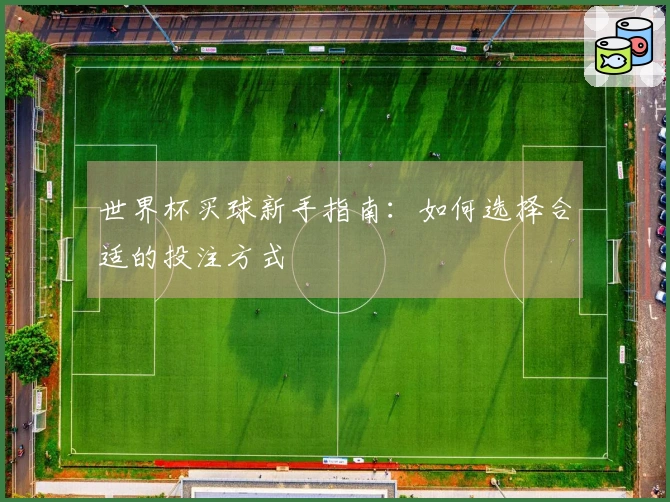 世界杯买球新手指南：如何选择合适的投注方式
