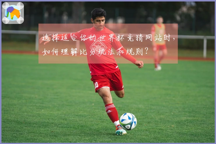 选择适合你的世界杯竞猜网站时，如何理解比分玩法和规则？