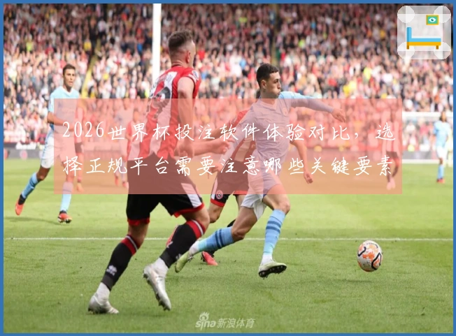 2026世界杯投注软件体验对比，选择正规平台需要注意哪些关键要素
