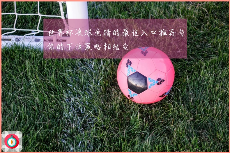 世界杯滚球竞猜的最佳入口推荐与你的下注策略相结合