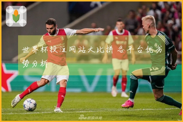 世界杯投注网站大比拼 各平台优劣势分析